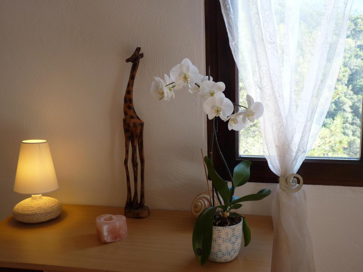 شقة Le Balcon D'Azur Drap المظهر الخارجي الصورة